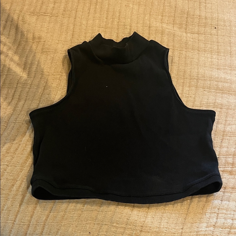Everlane Black Mock Neck Crop Top